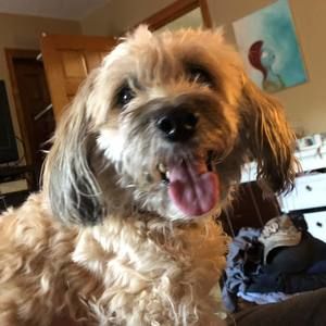 Meet your Posher, Leslie